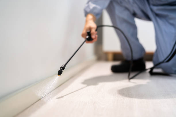 Bed Bug Pre-Treatment Preparation Assessment in Tullahoma