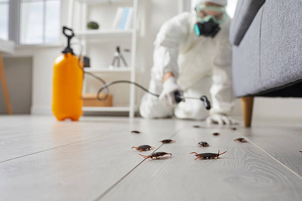 Post-Treatment Bed Bug Interceptor Monitoring in Tullahoma
