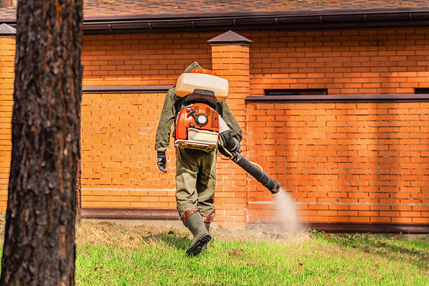 Bed Bug Clearance Verification and Documentation in Tullahoma